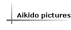 Aikido pictures